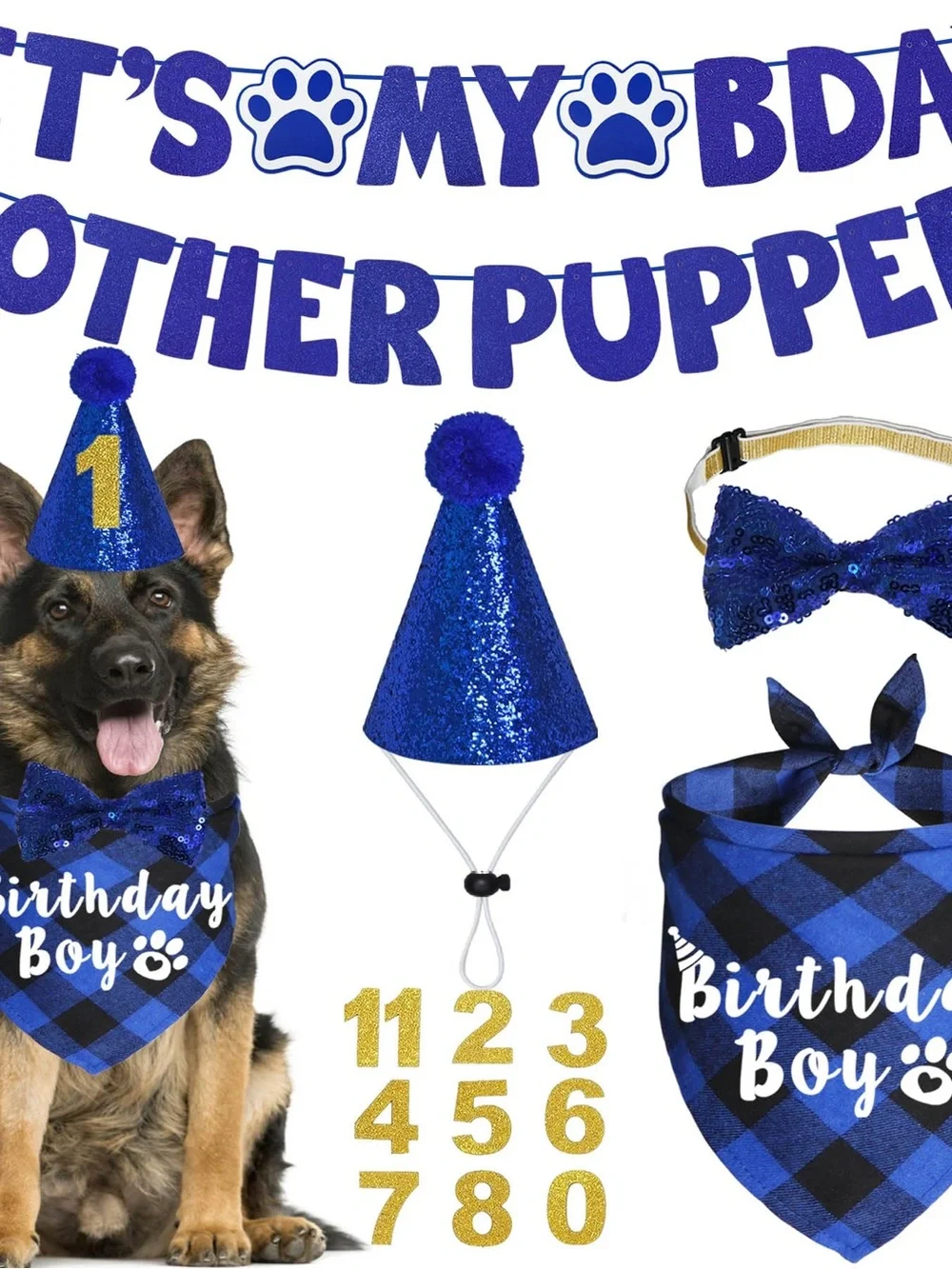 Blue Sequin Puppy Birthday Hat & Accessory Set - Birthday Boy